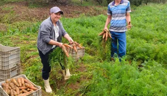 Cooperativa leva produção de agricultores de Domingos Martins para estudantes de todo o Espírito Santo