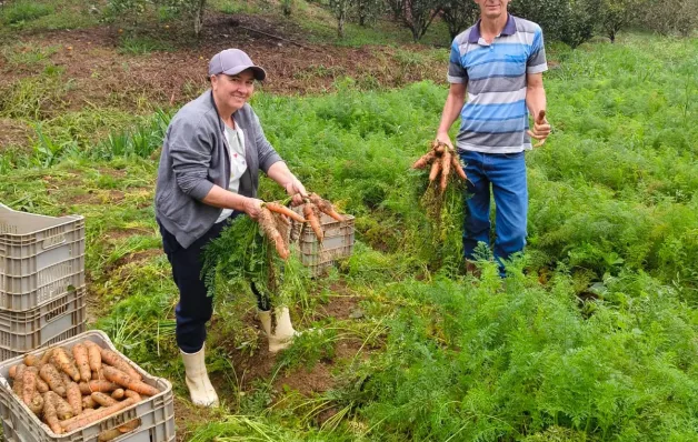Cooperativa leva produção de agricultores de Domingos Martins para estudantes de todo o Espírito Santo