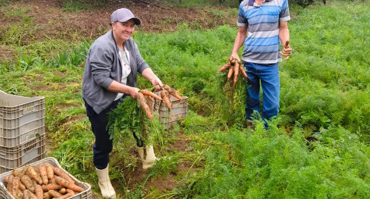 Cooperativa leva produção de agricultores de Domingos Martins para estudantes de todo o Espírito Santo