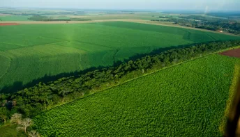 Corredor ecológico vai conectar fragmentos florestais no Espírito Santo