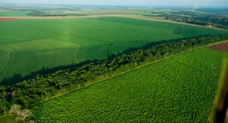 Corredor ecológico vai conectar fragmentos florestais no Espírito Santo