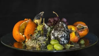 Cortar pedaço mofado da fruta e comer o resto faz mal?