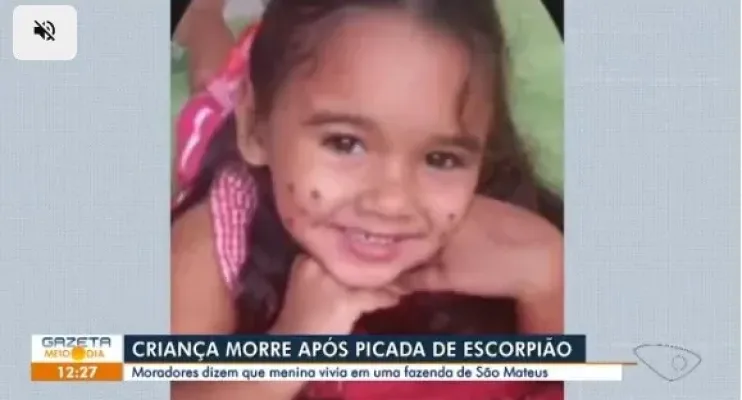 Criança de três anos morre após ser picada por escorpião em São Mateus