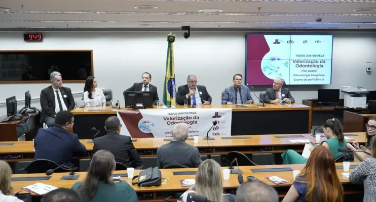 CRO Bahia representa conselhos de todo o Brasil em reunião na Câmara dos Deputados