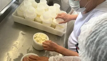 Curso prepara agroindústrias de queijo para regularização no norte e no noroeste do Estado