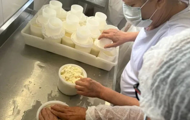 Curso prepara agroindústrias de queijo para regularização no norte e no noroeste do Estado