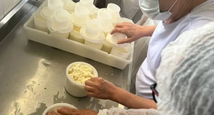 Curso prepara agroindústrias de queijo para regularização no norte e no noroeste do Estado
