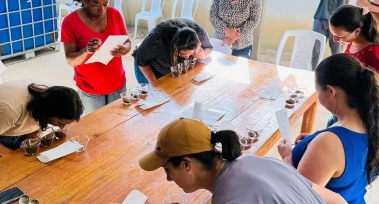 cursos incentivam produção de cafés especiais e sucessão familiar
