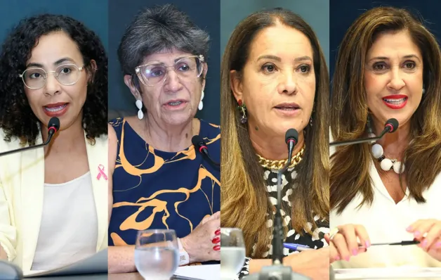 Deputadas do Espírito Santo lideram avanços na proteção e direitos das mulheres