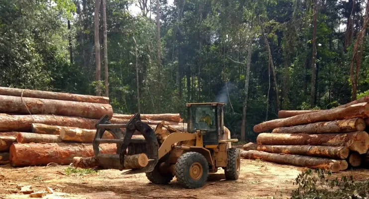 Desmatamento em novembro cai 68% na Amazônia