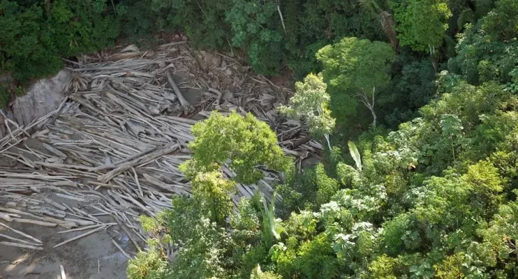 Desmatamento na Amazônia cai 68% em abril, primeira grande queda no governo Lula