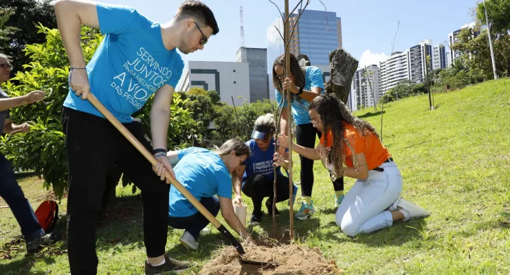 Dia da Árvore celebrado com plantio de mudas e oficinas sustentáveis em Salvador