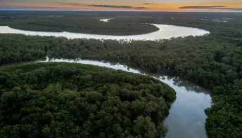 DIA DO MEIO AMBIENTE: Suzano destaca ações ambientais em suas operações na Bahia e Espírito Santo