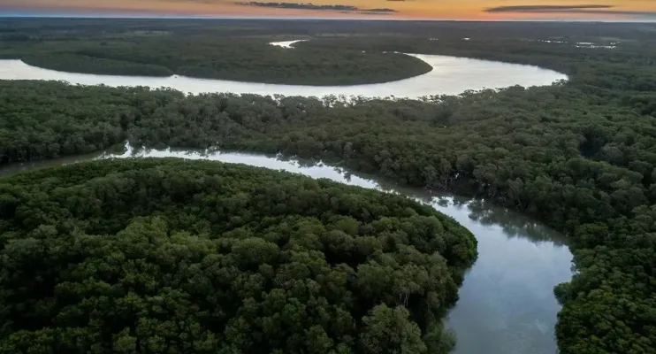 DIA DO MEIO AMBIENTE: Suzano destaca ações ambientais em suas operações na Bahia e Espírito Santo