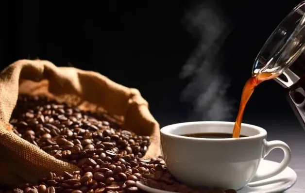 Dia Internacional do Café: Espírito Santo celebra protagonismo na produção e exportação