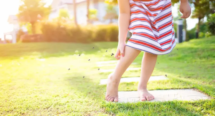 Dicas que vão ajudá-lo a manter os mosquitos longe da sua casa