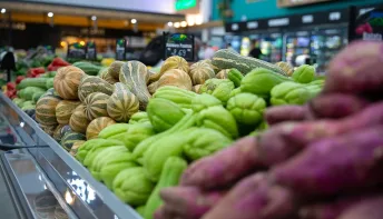 Direto do Campo Oferece 35 Vagas de Emprego no Mercado de Trabalho