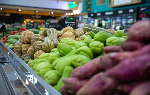 Direto do Campo Oferece 35 Vagas de Emprego no Mercado de Trabalho