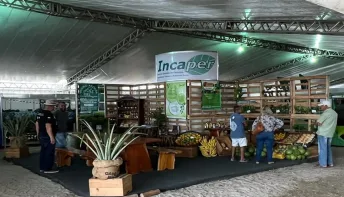 Diversão e oportunidades de negócios caminhando juntos: feira de agronegócios esta confirmada na exposama 479 anos