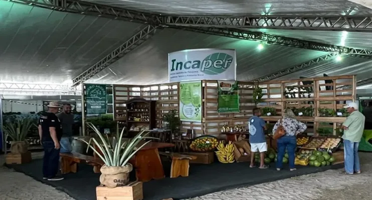 Diversão e oportunidades de negócios caminhando juntos: feira de agronegócios esta confirmada na exposama 479 anos