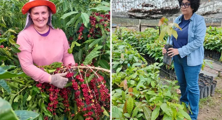 Do café ao cacau: projetos fortalecem e valorizam as mulheres rurais capixabas