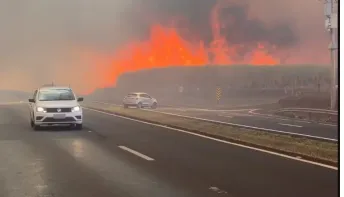 Em 2 dias, SP tem quase sete vezes mais incêndios do que agosto de 2023