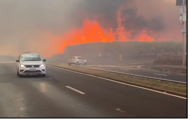 Em 2 dias, SP tem quase sete vezes mais incêndios do que agosto de 2023