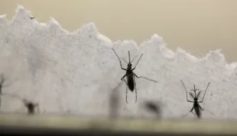 Em uma semana, casos prováveis de dengue sobem de 120 mil para 217 mil