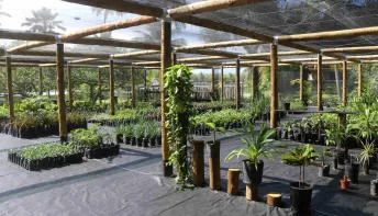Empreendimento imobiliário celebra Semana do Meio Ambiente com inauguração de Viveiro e Centro de Reciclagem