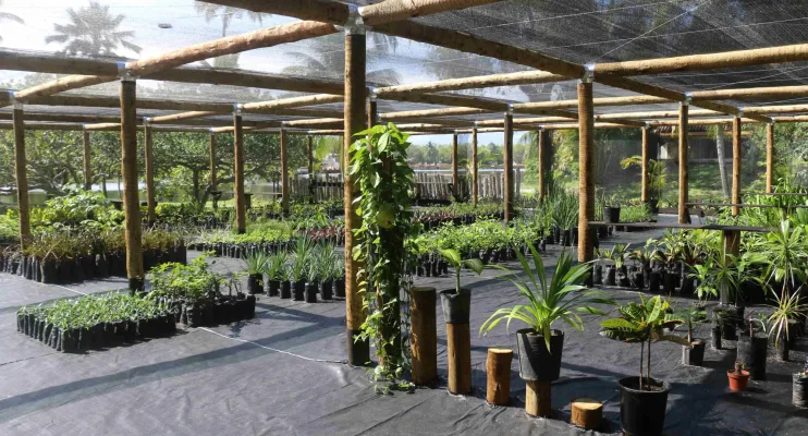 Empreendimento imobiliário celebra Semana do Meio Ambiente com inauguração de Viveiro e Centro de Reciclagem