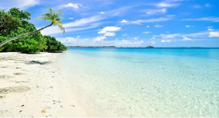 Entenda a proposta que pode 'privatizar' praias do Brasil