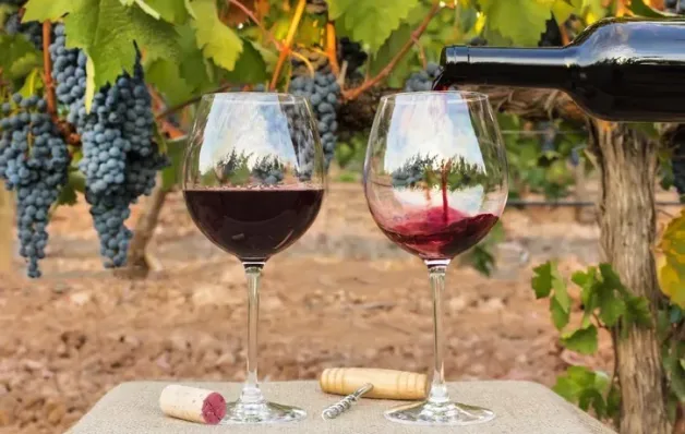ES discute avanços na produção de uvas de inverno e vinhos finos em seminário