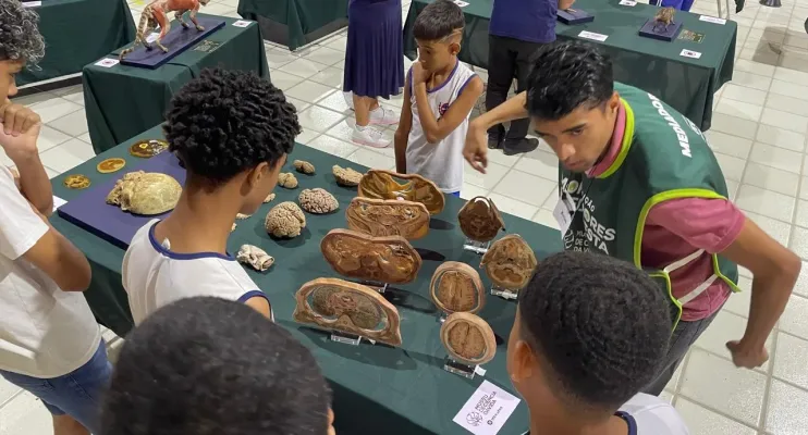  Escola de Pinheiros leva estudantes a experiência imersiva com animais plastinados em São Mateus