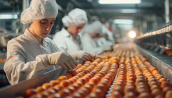 Espírito Santo bate recorde na exportação de ovos em 2025