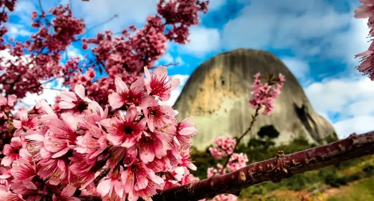 Espírito Santo é premiado como terceiro estado mais acolhedor do Brasil