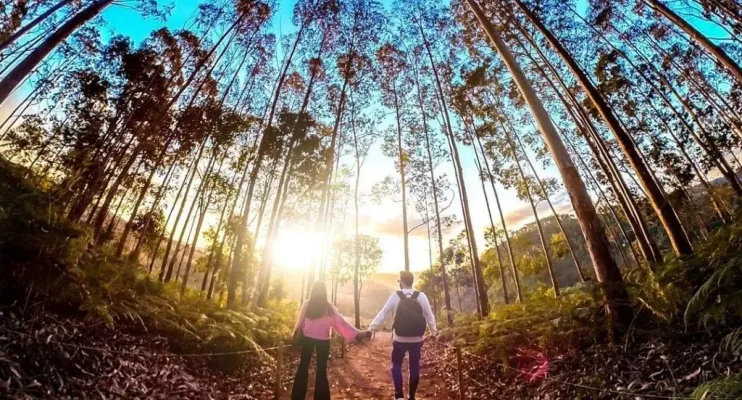  Espírito Santo se destaca com vivências especiais para visitantes