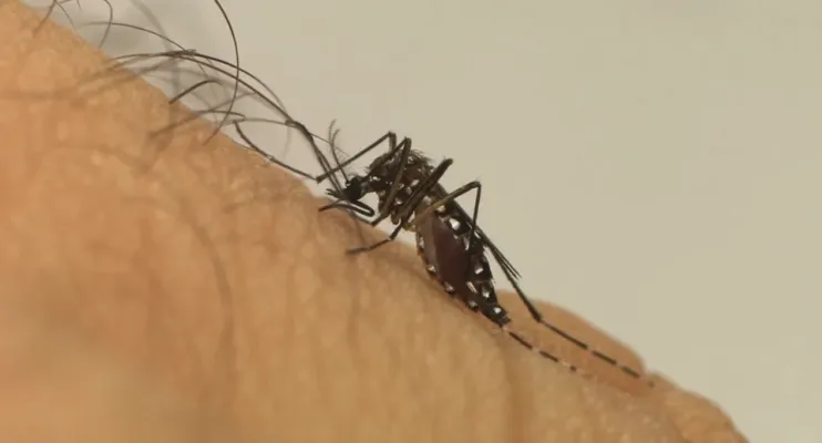 Estado antecipa entrega de vacina contra dengue para região Central-Norte de Saúde