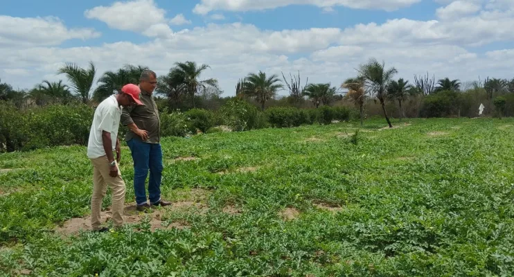 Estratégias para entrega e operacionalização de lotes irrigados em Ponto Novo são alinhadas durante reunião