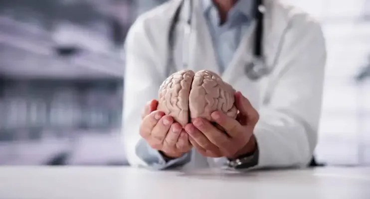 Estudo revela que existem seis tipos de amor e como afetam o cérebro