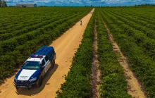 Evento em Linhares une ciclismo e turismo em regiões cafeeiras neste domingo (29)