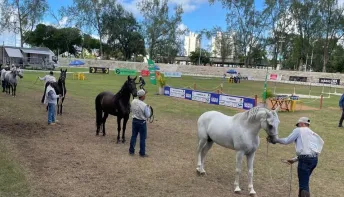 Eventos de negócios movimentam zonas turísticas da Bahia