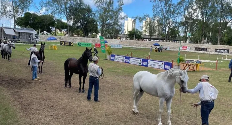 Eventos de negócios movimentam zonas turísticas da Bahia