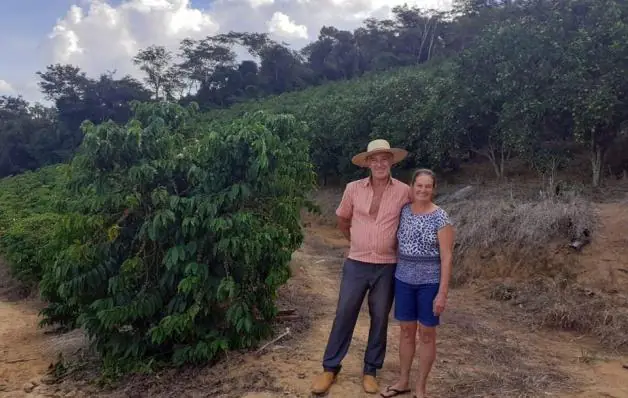 Família diversifica renda com auxílio do Incaper produzindo café e citros