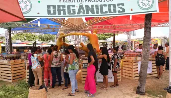 Feira de Produtos Orgânicos traz saúde e sustentabilidade para Salvador