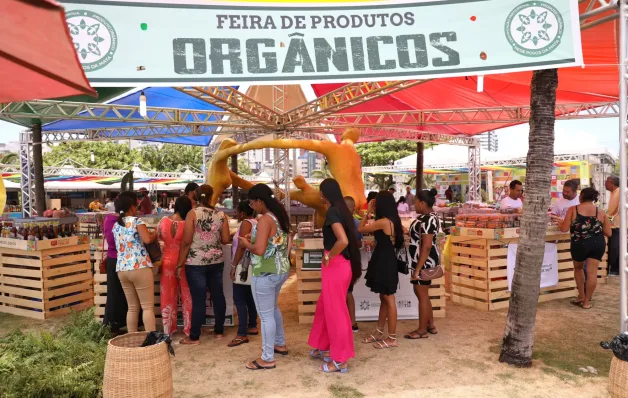 Feira de Produtos Orgânicos traz saúde e sustentabilidade para Salvador