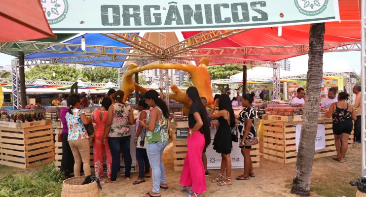 Feira de Produtos Orgânicos traz saúde e sustentabilidade para Salvador