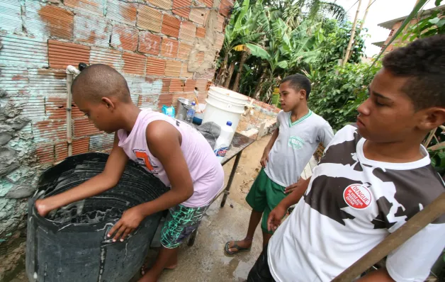 Feira de Santana e Vitoria da Conquista puxam alta de casos de dengue na Bahia