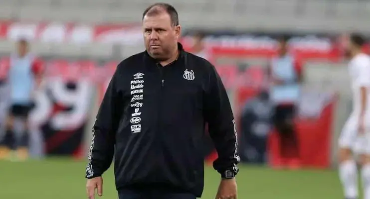 Fernandes exalta cargo de auxiliar, mas se diz preparado para assumir o Santos