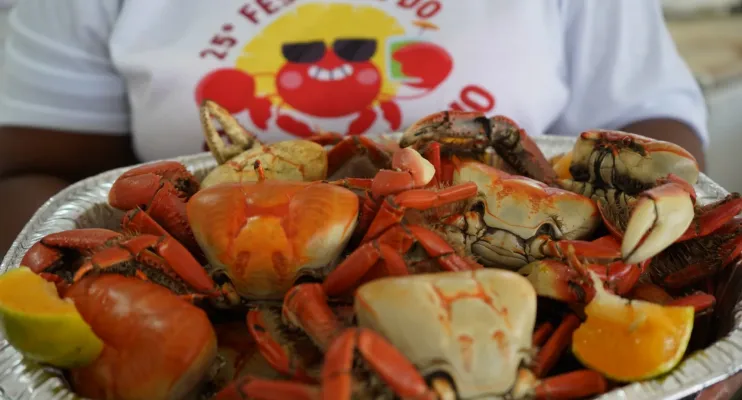 Festival de Caranguejo celebra 25 anos de tradição em São Mateus com música e gastronomia