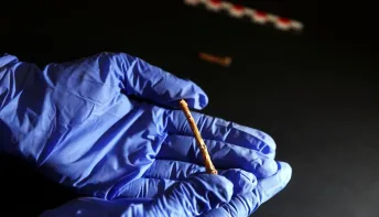 Flautas pré-históricas feitas com ossos de pássaro encantam arqueólogos em Israel